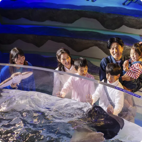 ショー・イベント イメージ