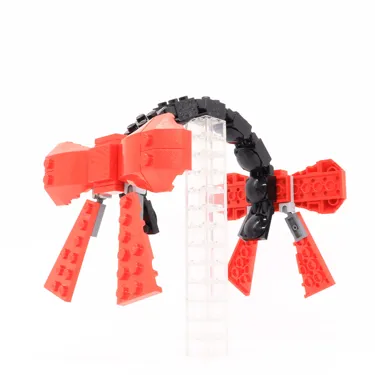 Ribon (1)