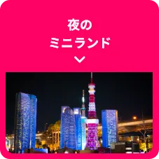 夜のミニランド