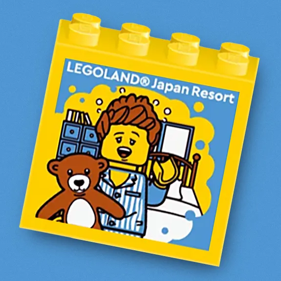 HTL BFR Fctbrick2025