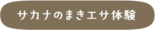 サカナのまきエサ体験