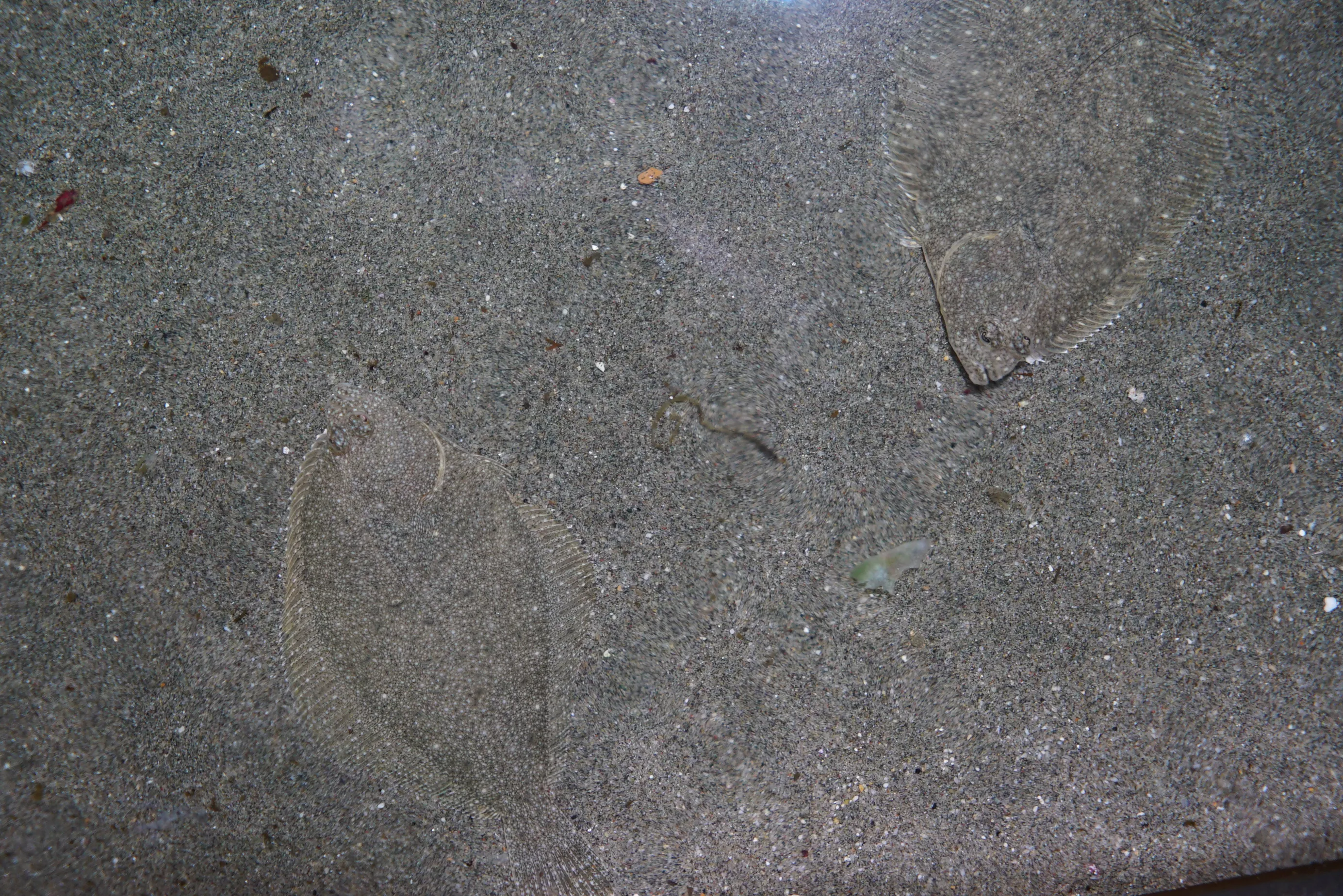 DSC02784