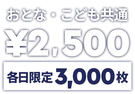 各日3,000枚 ¥2,500で夜のレゴランドを満喫しよう！