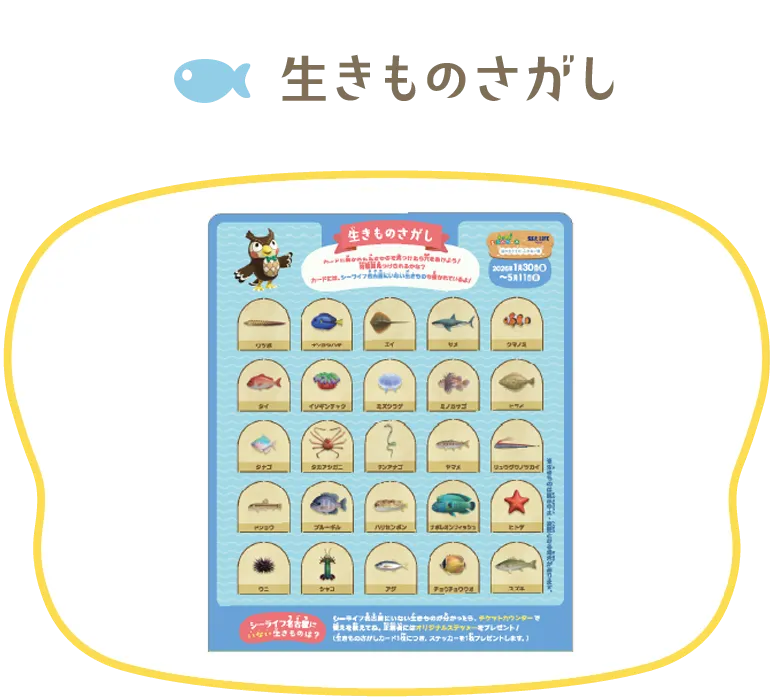 生きものさがし