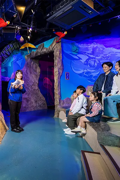 スティングレイベイ 003