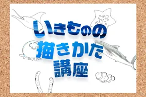 Llw 202602 Slnikimonoegaki