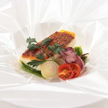 Snapper