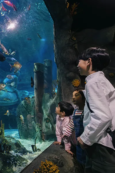 竜宮城大水槽 002