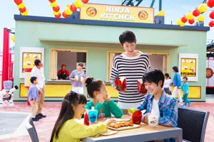 Ninjya Kitchen 002 Tat 5 650Mini