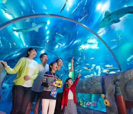 Sea Life Tunnel 108 650