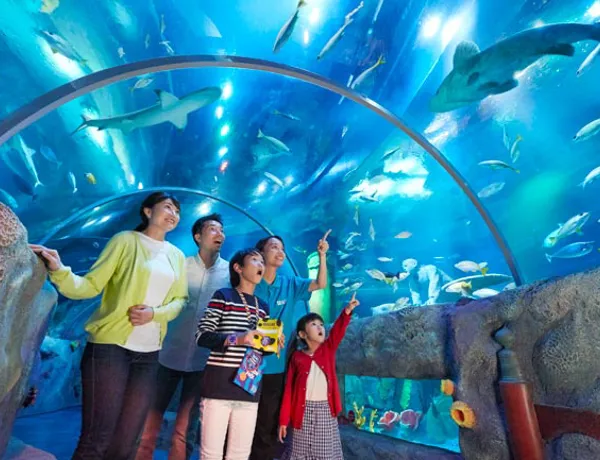 Sea Life Tunnel 108 650