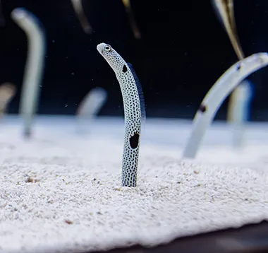 質問コーナーの様子