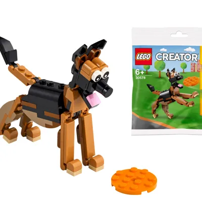 Dog