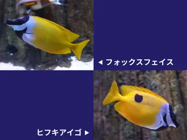 20260307111025097 0013