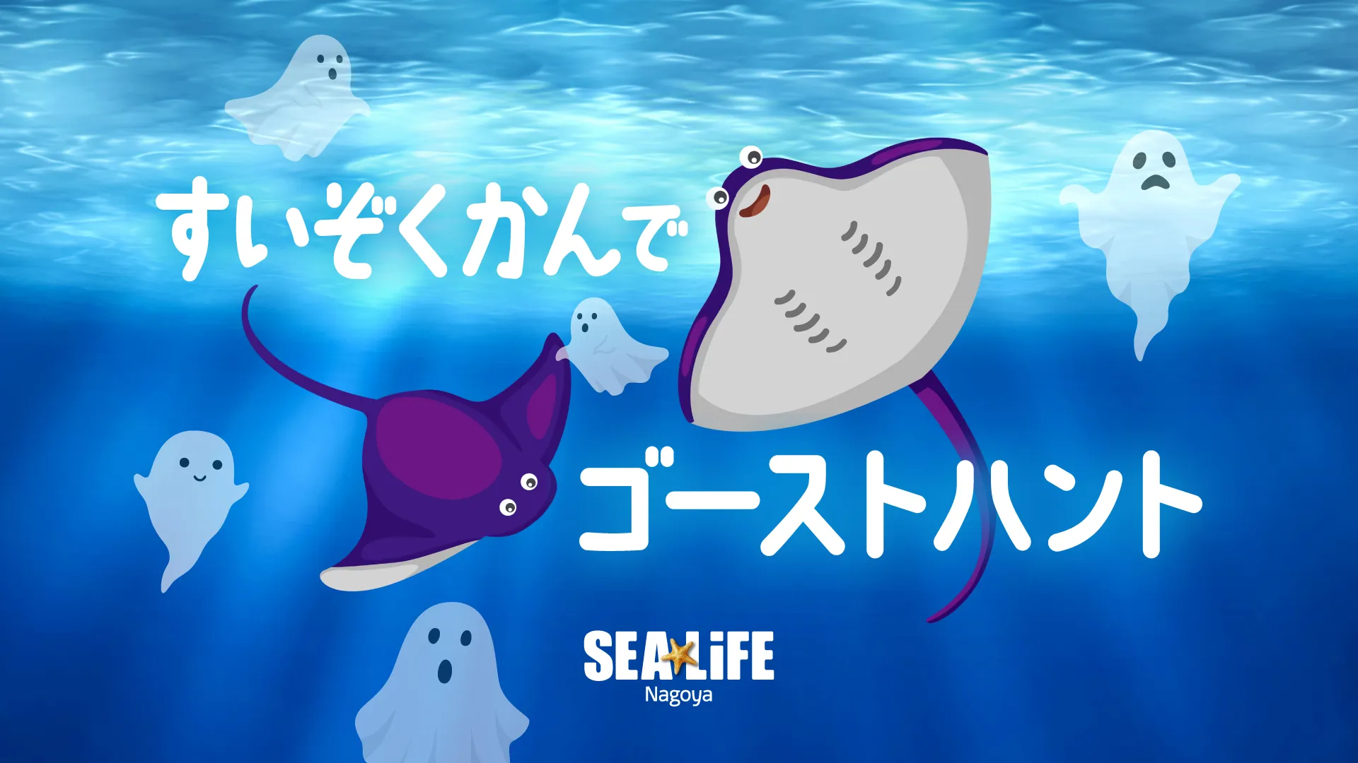 202509 Sealife Dijitalsignage02