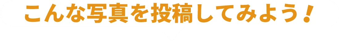 こんな写真を投稿してみよう！