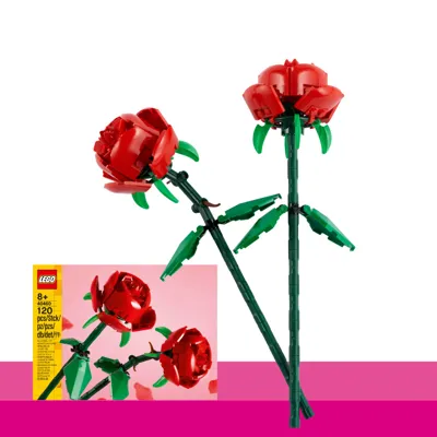 Rose V3