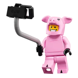 Pig