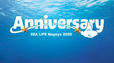 Sealife Nagoya 2020Springbanner(1)