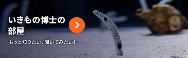 いきもの博士の部屋