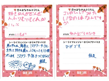 20260307111025097 0012