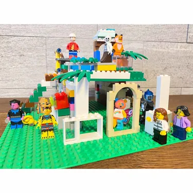 Dr Brick General 1