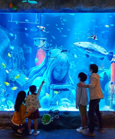 Sea Life Tunnel 054