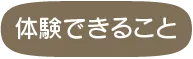 体験できること