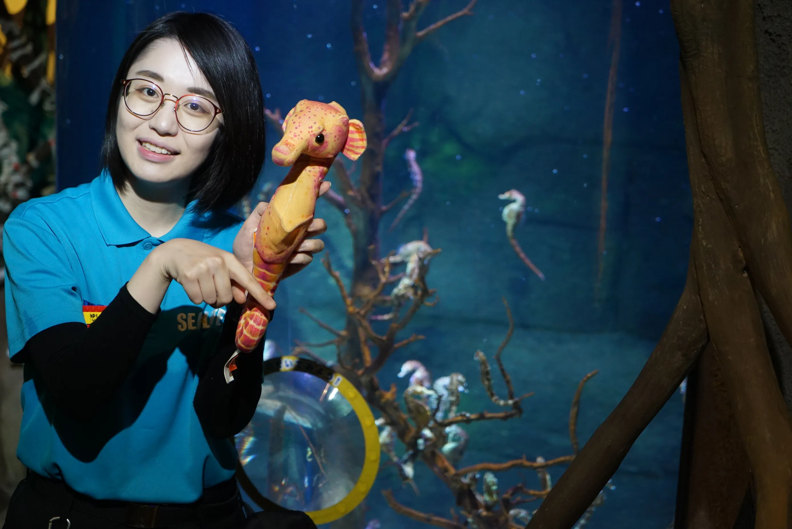 Seahorse Talkshow