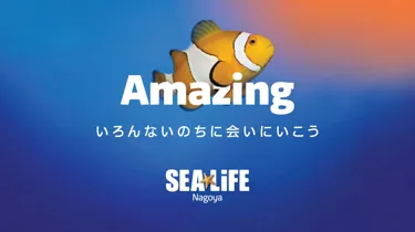 Sealife Christmas Banner
