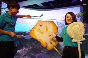 Stingray Show