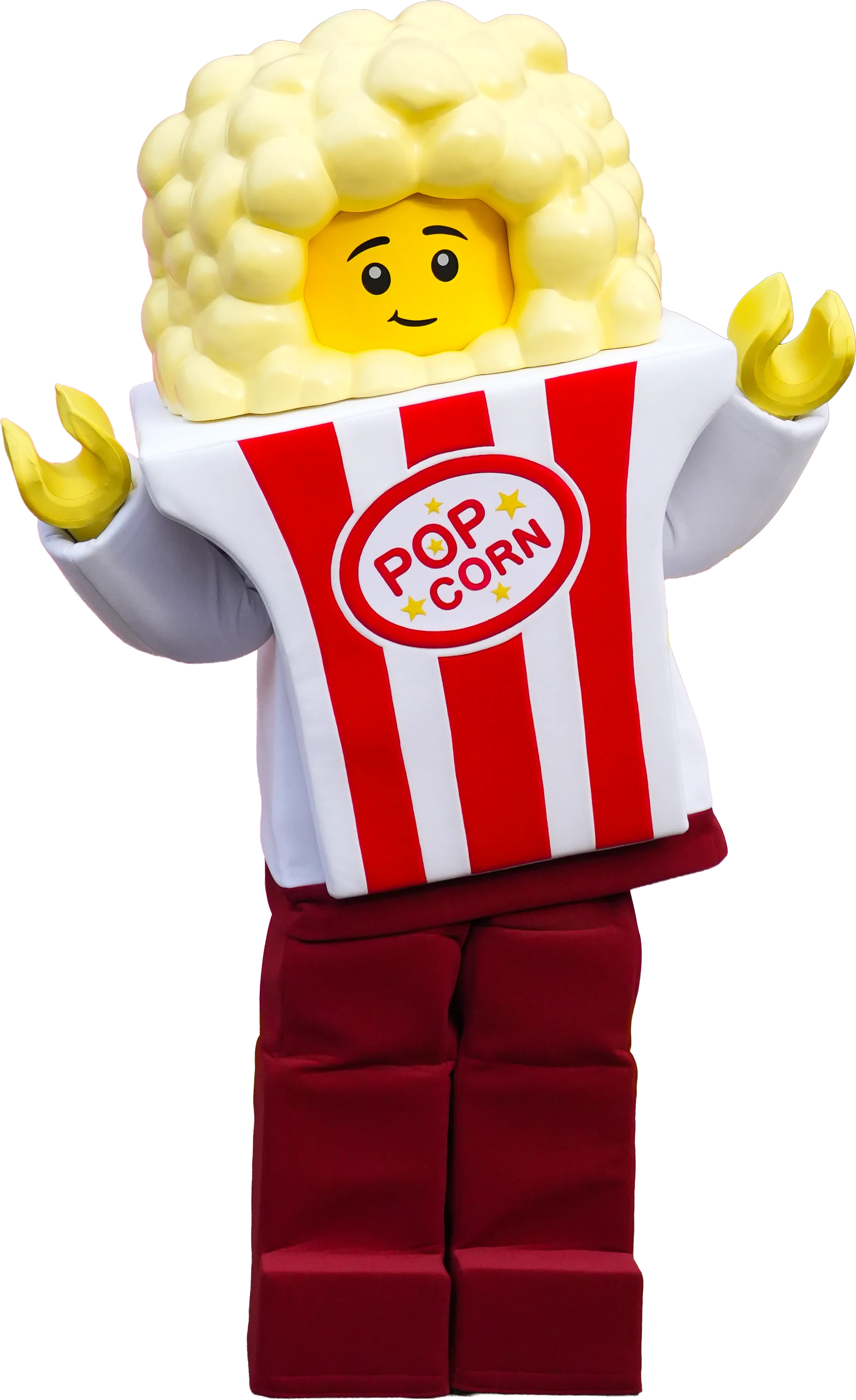 ポップコーン・ジュニア  メイン イメージ