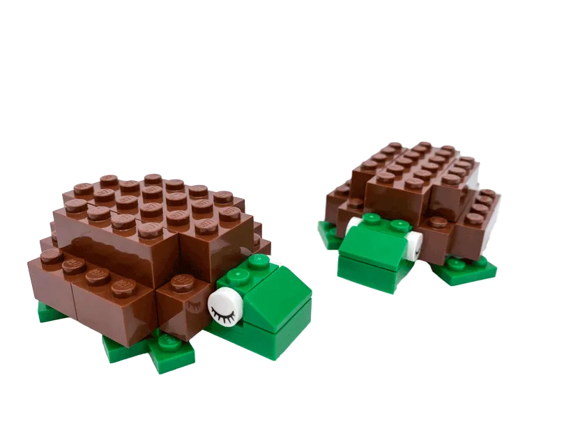 IMG 2156