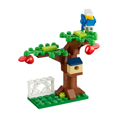 Apple Tree