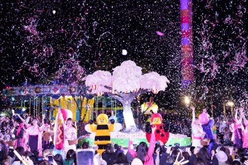 夜の限定ショー イメージ